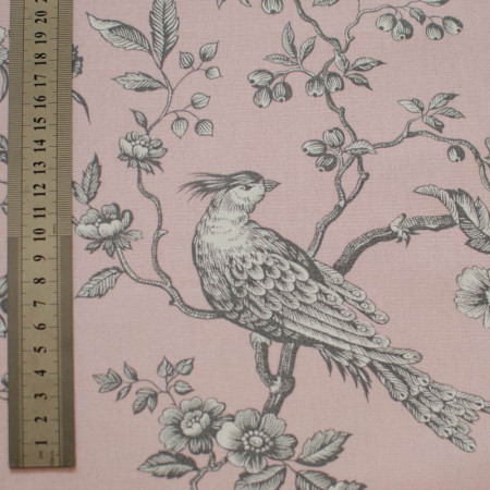EB - Toile de Jouy Mésange Gris/Rose 50cm